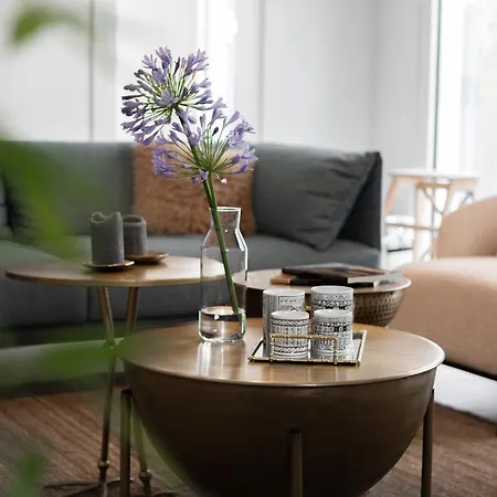 Spacious House With Cottage&pool *