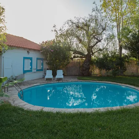 Spacious House With Cottage&pool 别墅