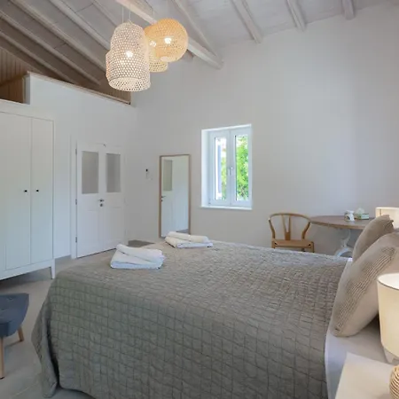 Spacious House With Cottage&pool 纳夫普利翁
